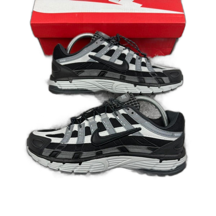 P6000 WINTERISED